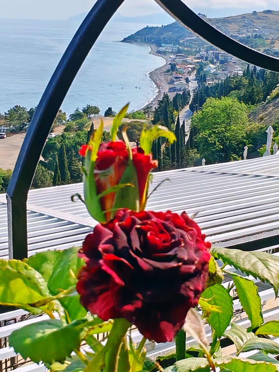 Гостиница Панорама Малореченское-152