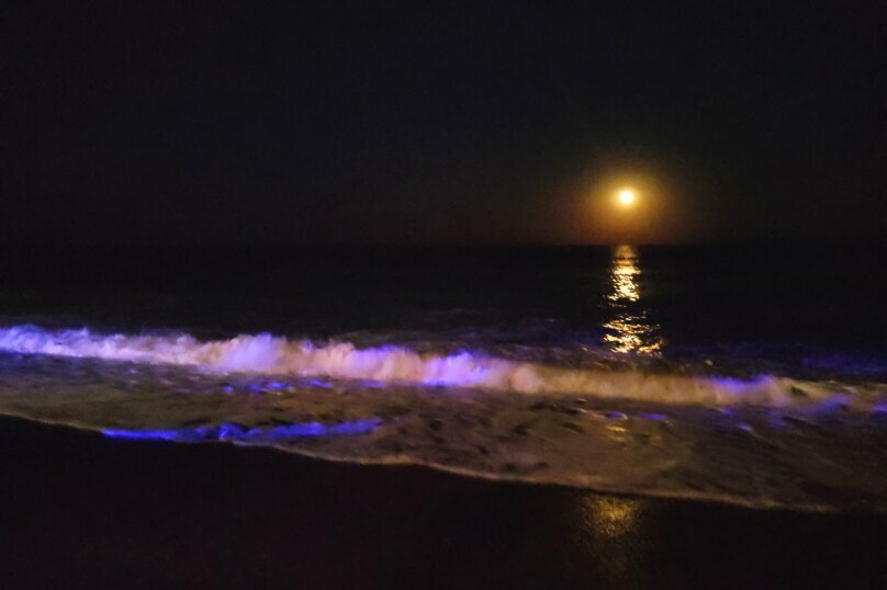 Гостиница Панорама Малореченское-83