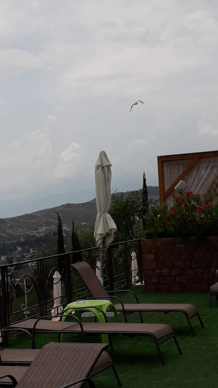 Гостиница Панорама Малореченское-181