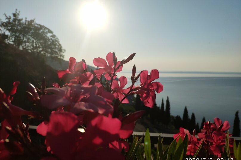 Гостиница Панорама Малореченское-56