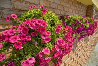 Гостиница Панорама Малореченское-5