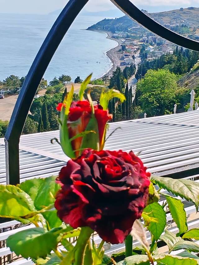 Гостиница Панорама Малореченское-151