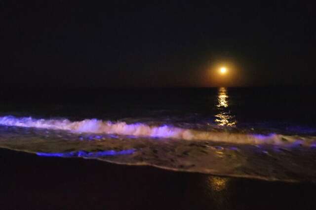 Гостиница Панорама Малореченское-82