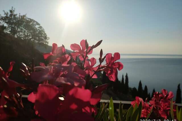 Гостиница Панорама Малореченское-55