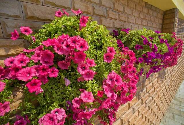 Гостиница Панорама Малореченское-8